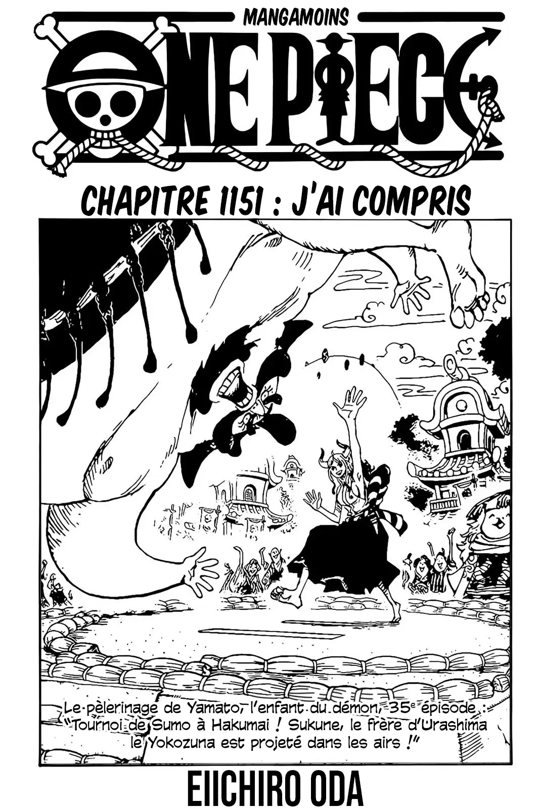 Read One Piece FRANCAIS Manga Online
