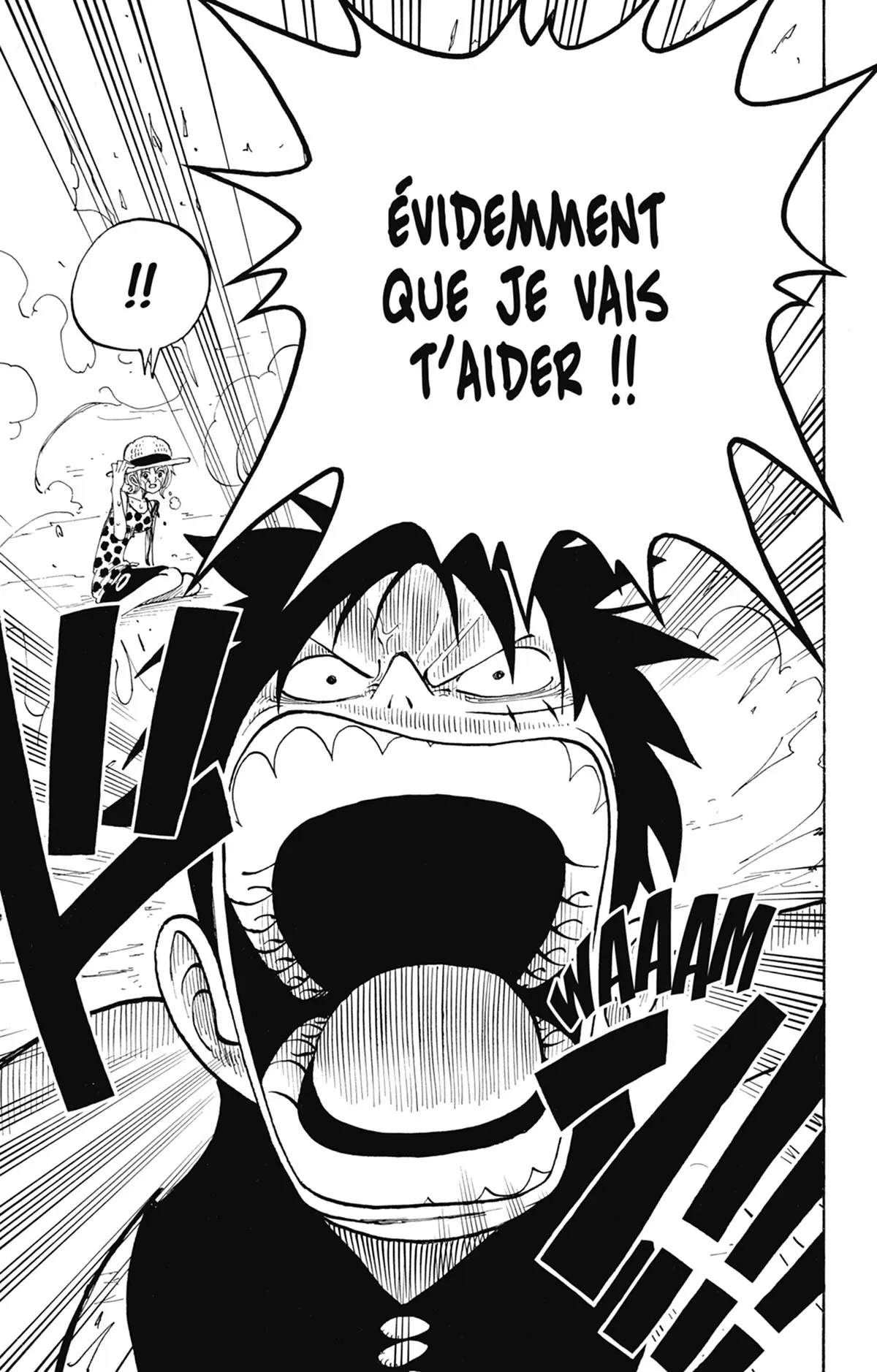 Read One Piece FRANCAIS Manga Online