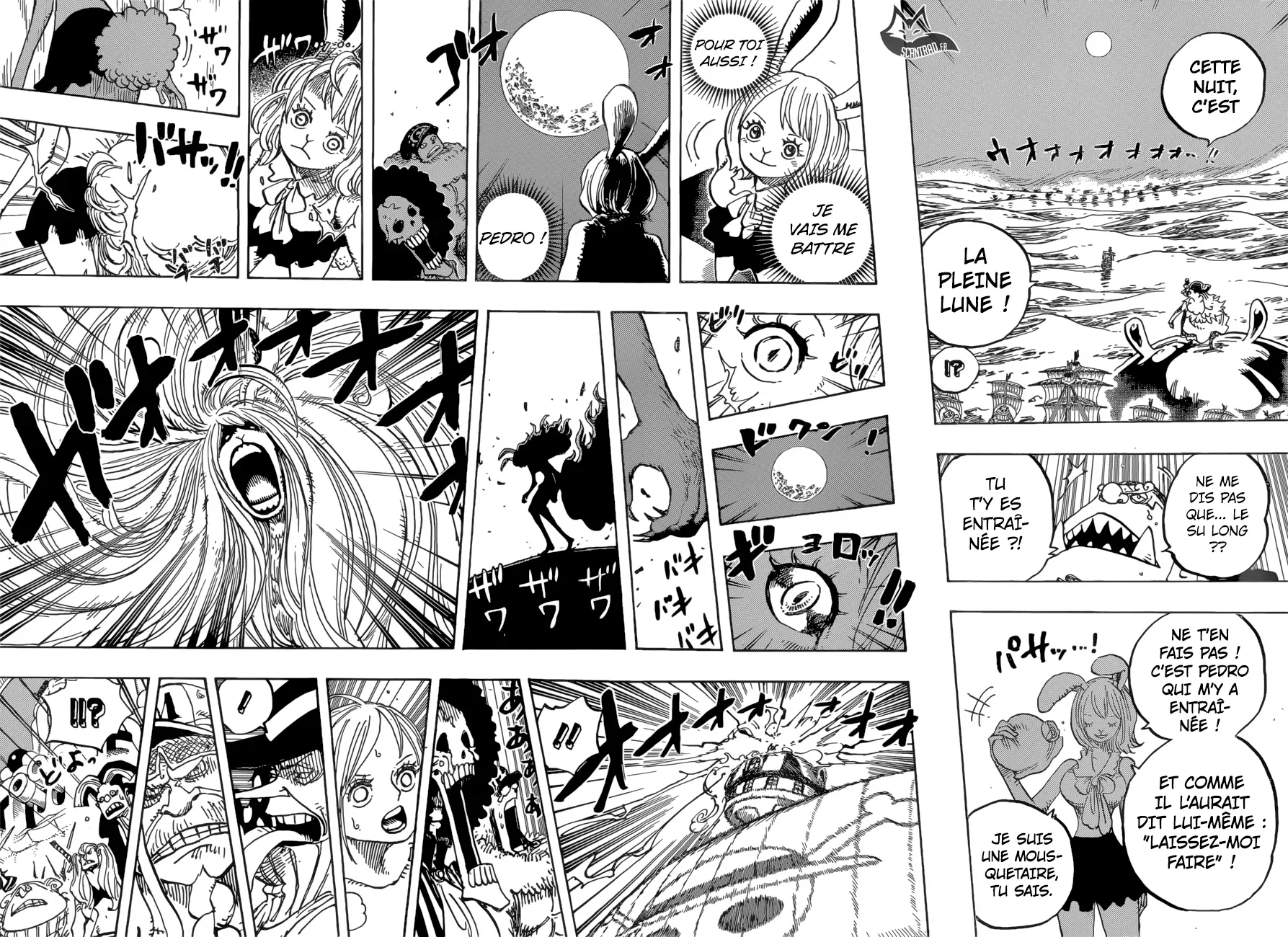 Read One Piece FRANCAIS Manga Online