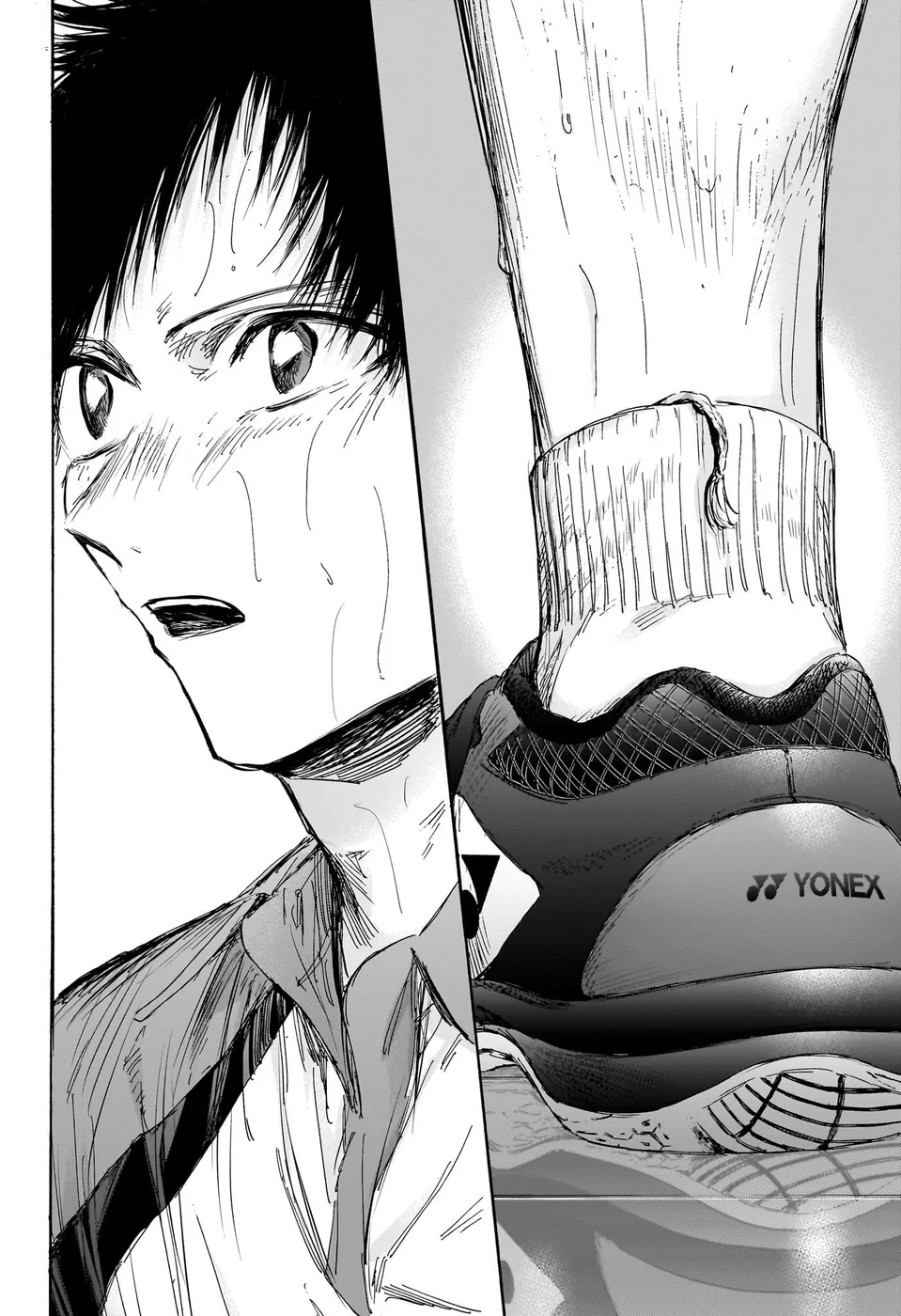 Read Blue Box Português Manga Online