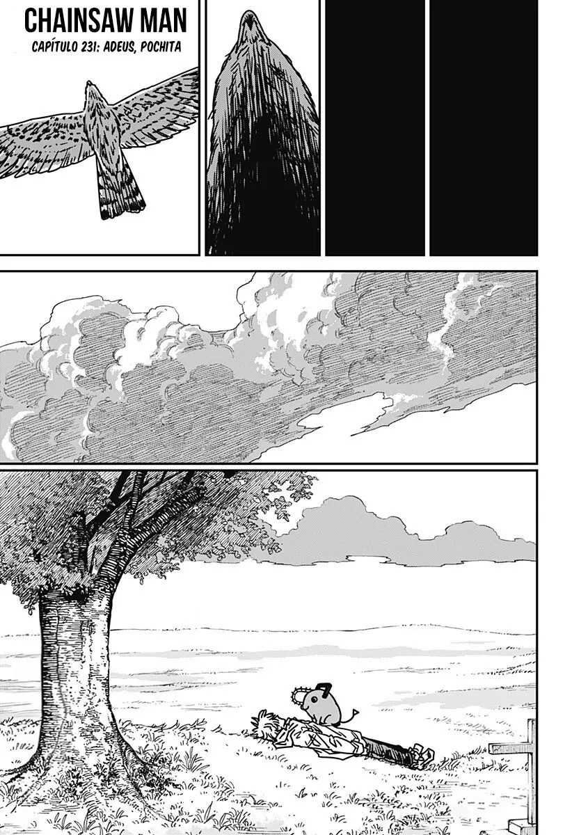 Read Chainsaw Man Português Manga Online