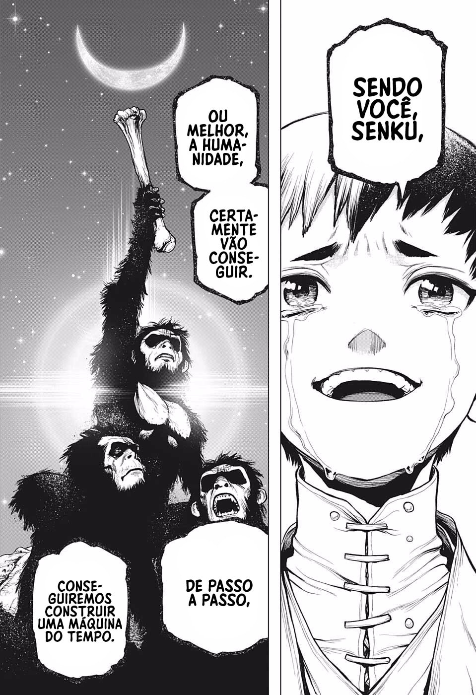 Read Dr. Stone Português Manga Online