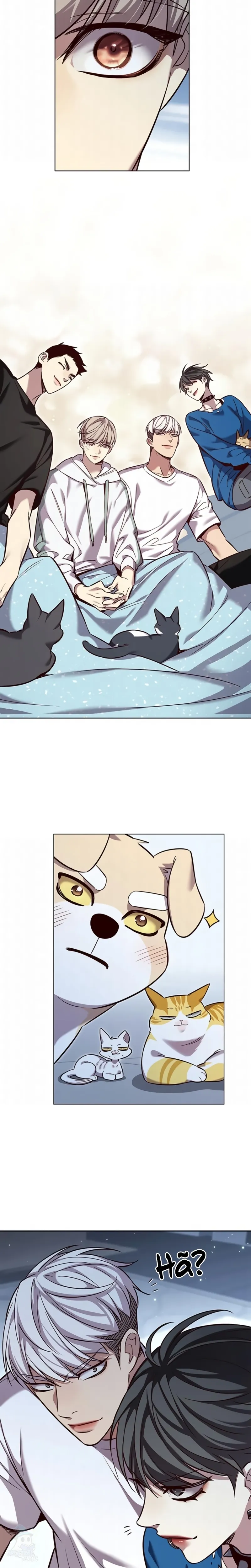 Read Eleceed Português Manga Online