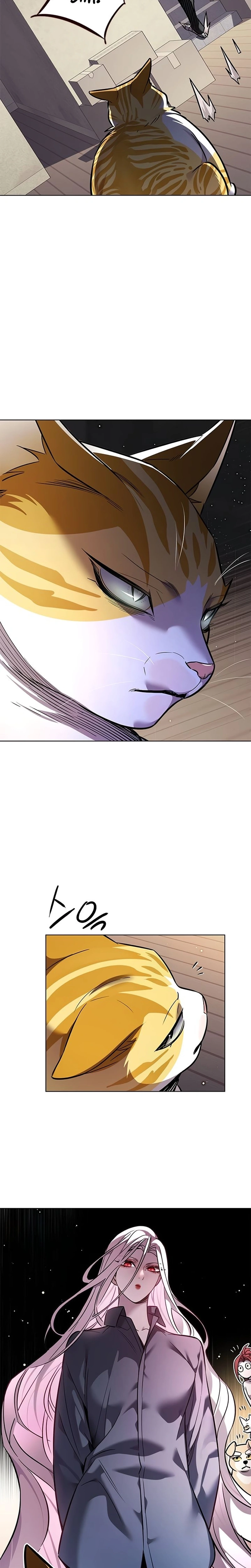 Read Eleceed Português Manga Online