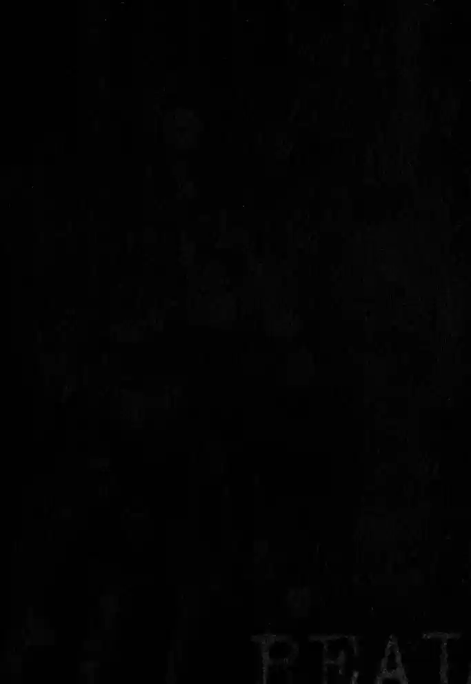 Read Real Português Manga Online