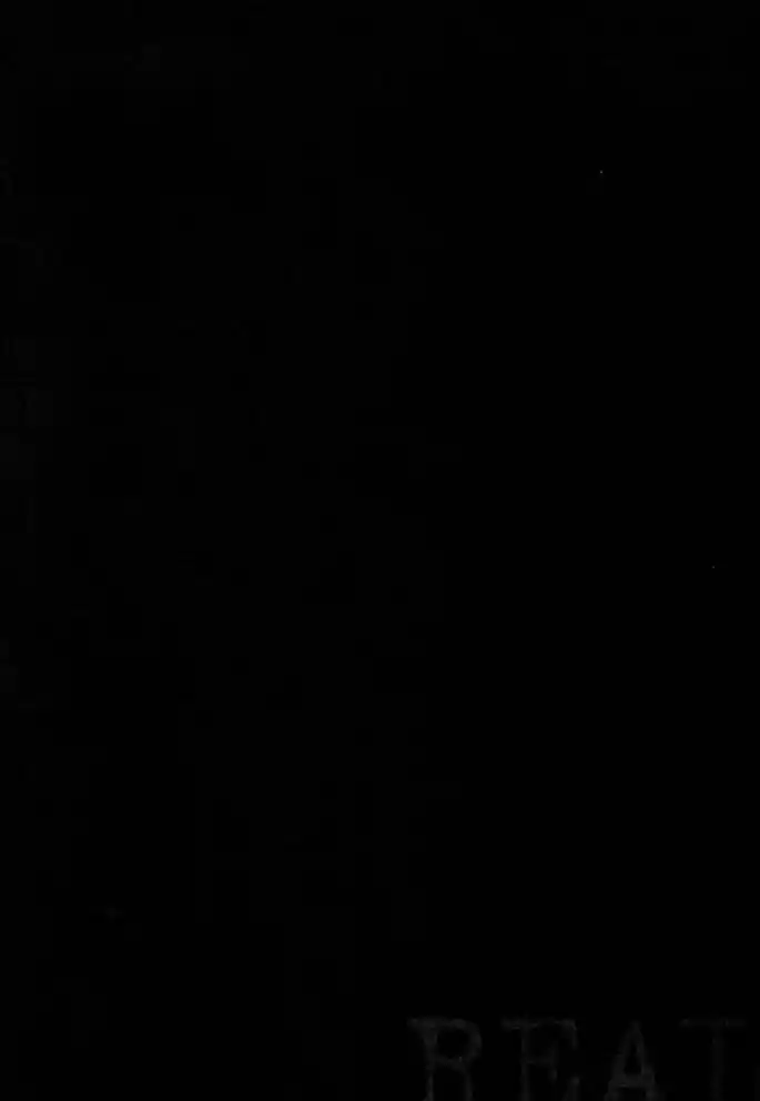 Read Real Português Manga Online