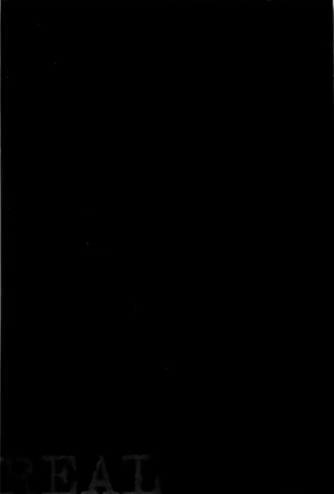 Read Real Português Manga Online