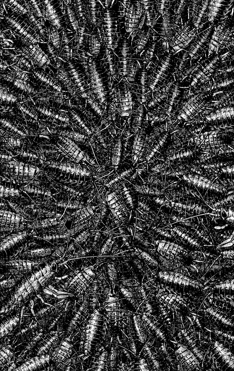 Read The Climber Português Manga Online