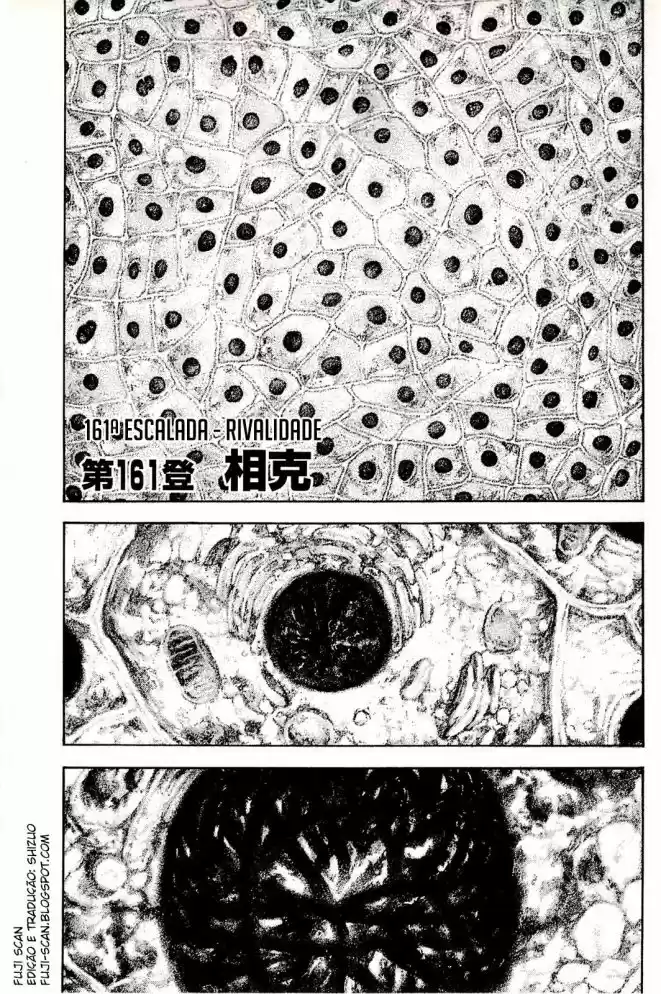 Read The Climber Português Manga Online