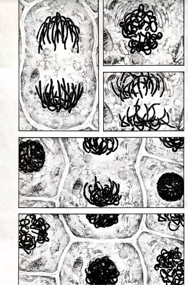 Read The Climber Português Manga Online