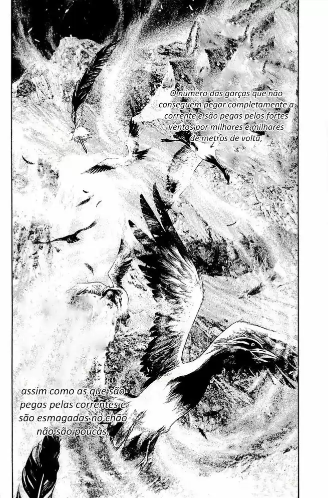 Read The Climber Português Manga Online