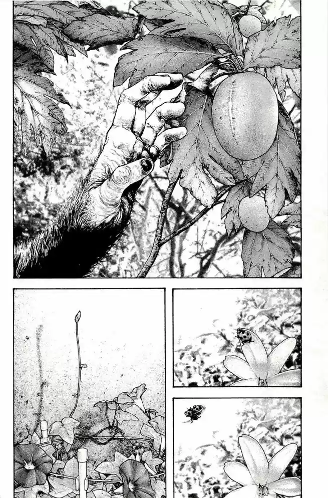 Read The Climber Português Manga Online
